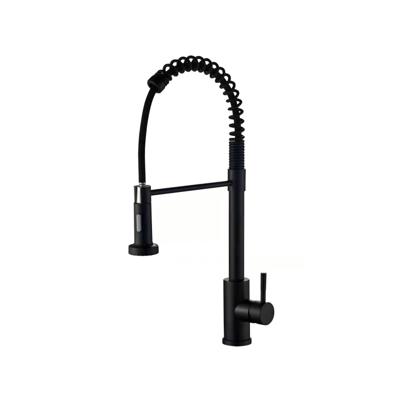 Black 304 spring faucet2