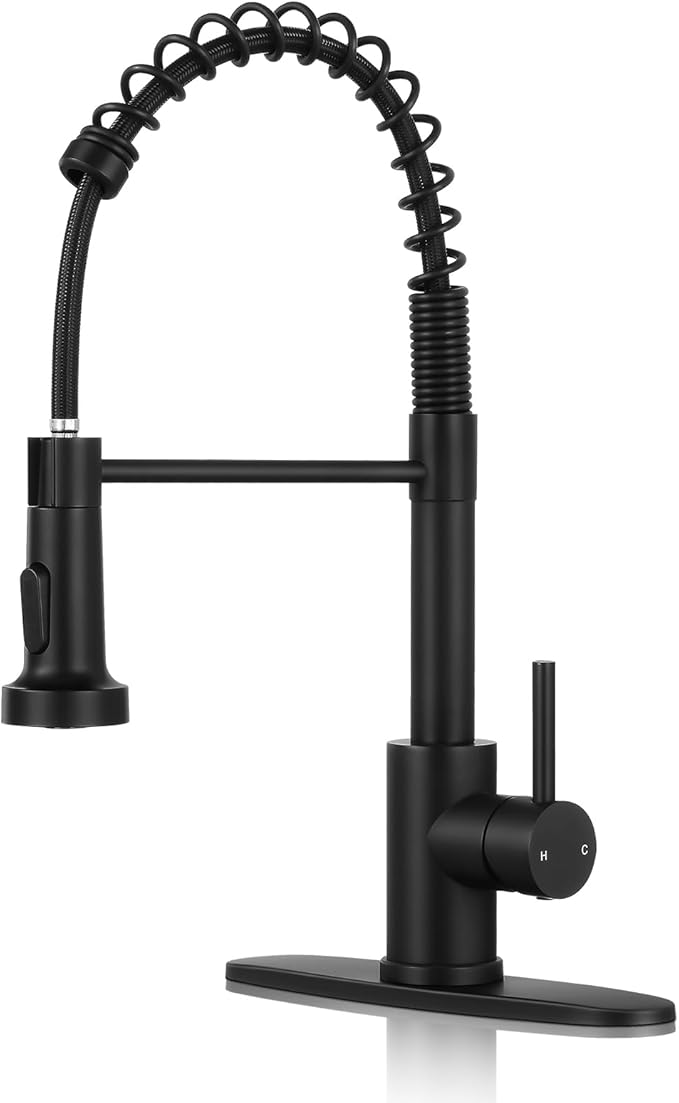 Black 304 spring faucet